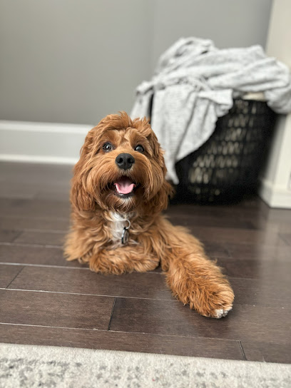 Cudi's Canine Crew (Cudi's Crew)