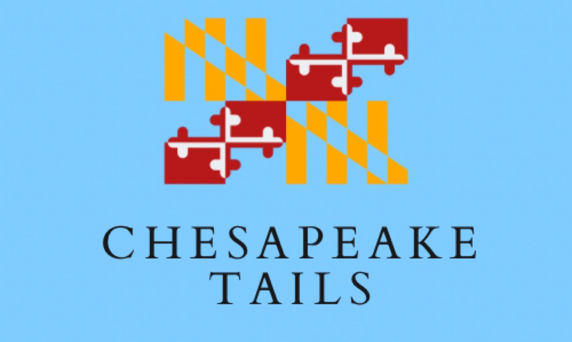 Chesapeake Tails - Photo 2
