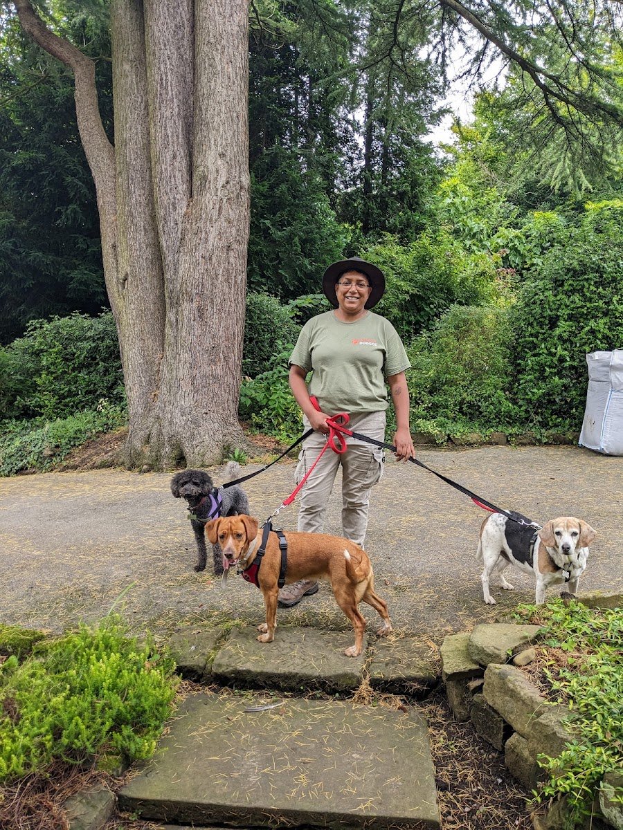 Debbo's Doggos - Photo 2