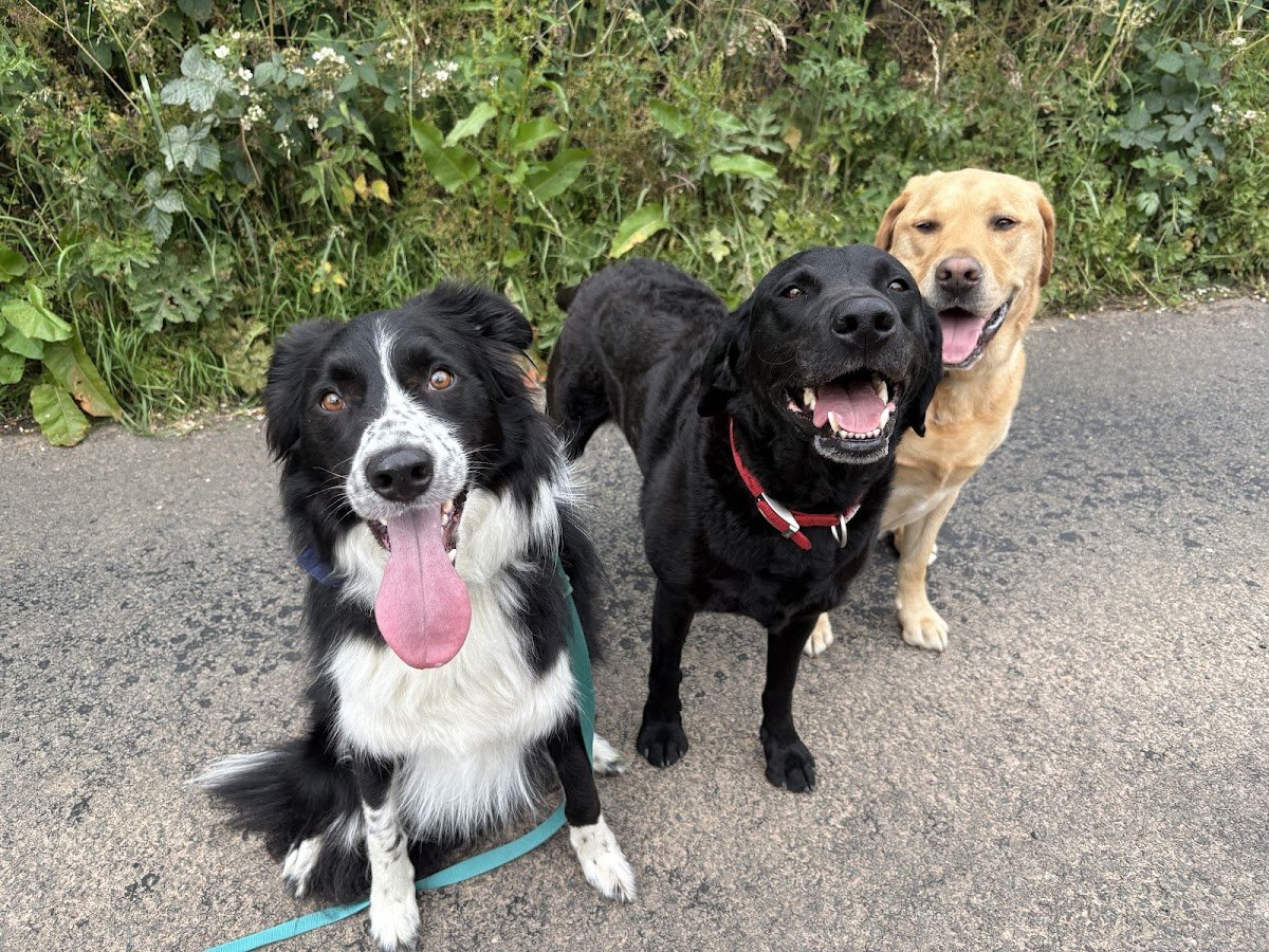 Taking The Lead Ashbourne - Photo 2