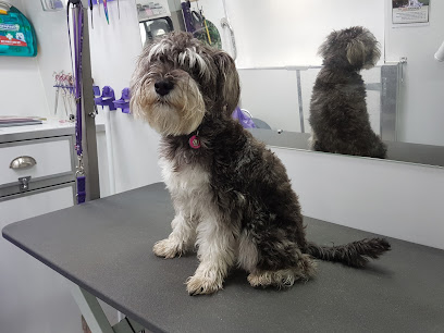 sMARTs Mobile Dog Grooming Services