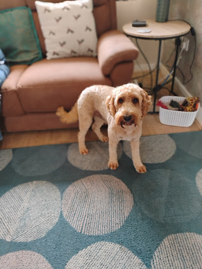 Hairy Stylz Dog Grooming