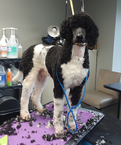 Woofs and Wags Pet Lodge