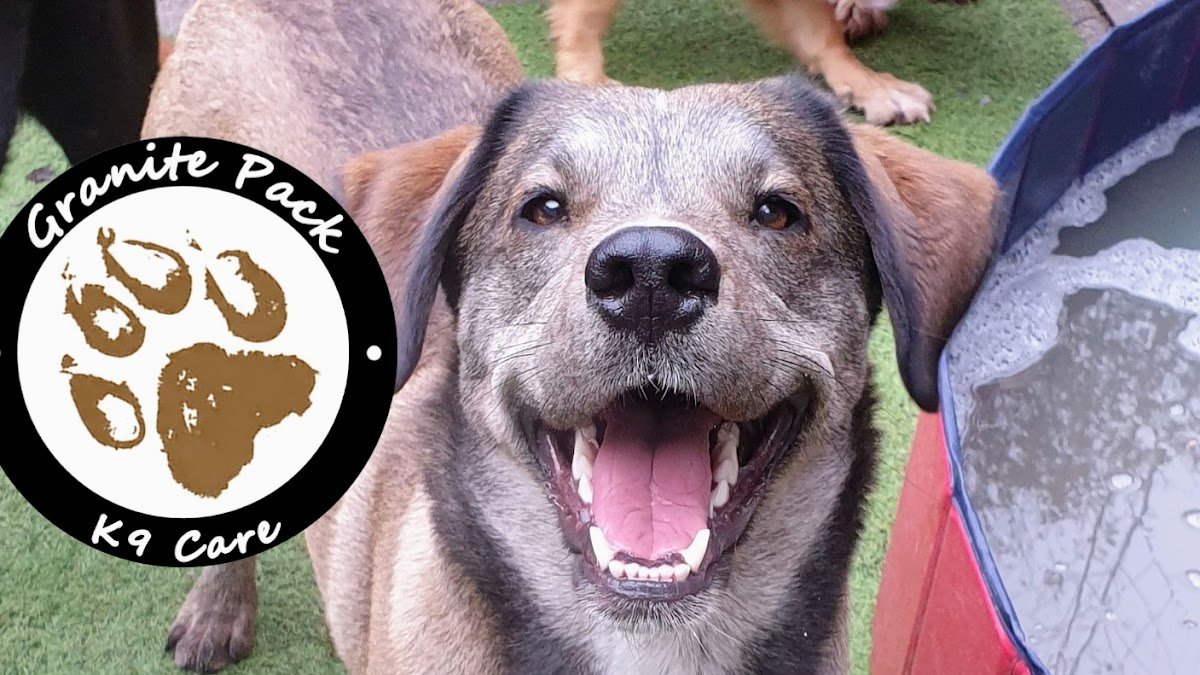 Granite Pack - K9 Care - Photo 2