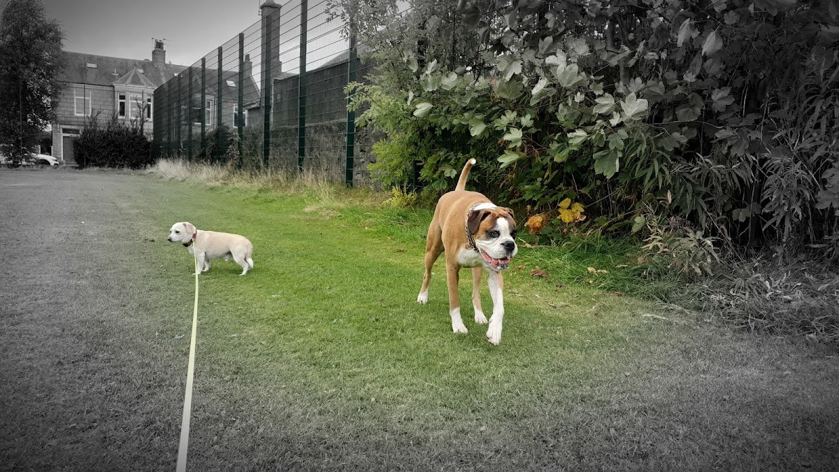 Nutz4Muttz - Photo 2