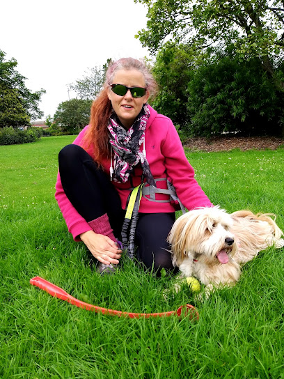 Pet Services Westhill