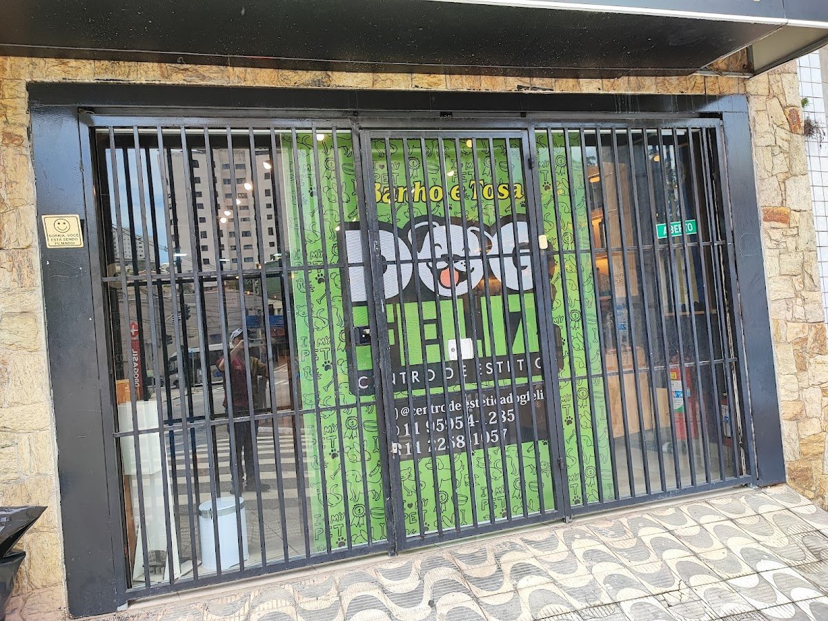 Dog Feliz - São Paulo