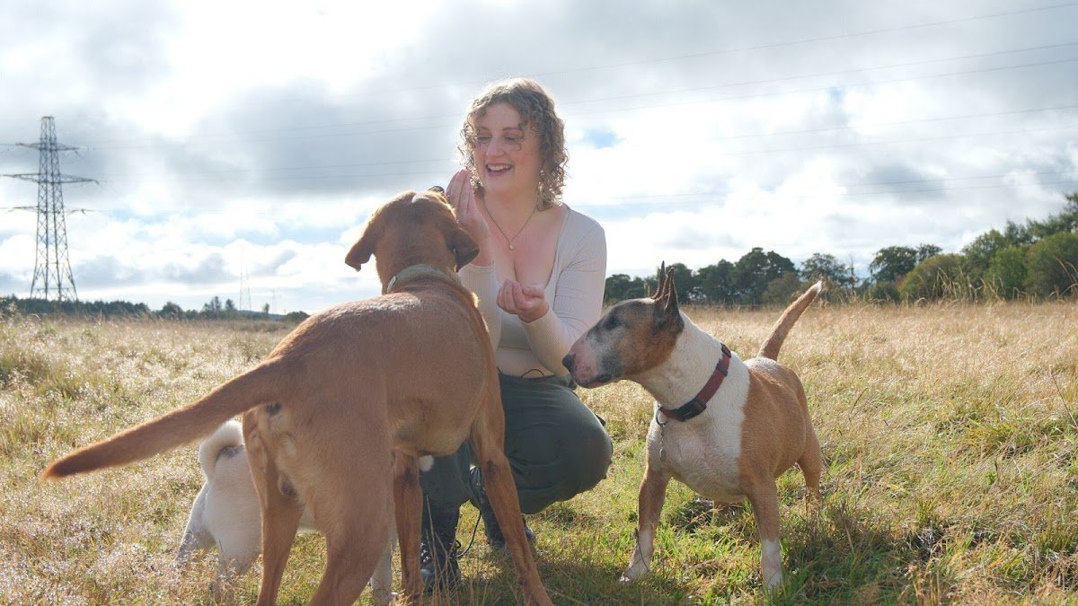 Helping Hounds - Photo 2