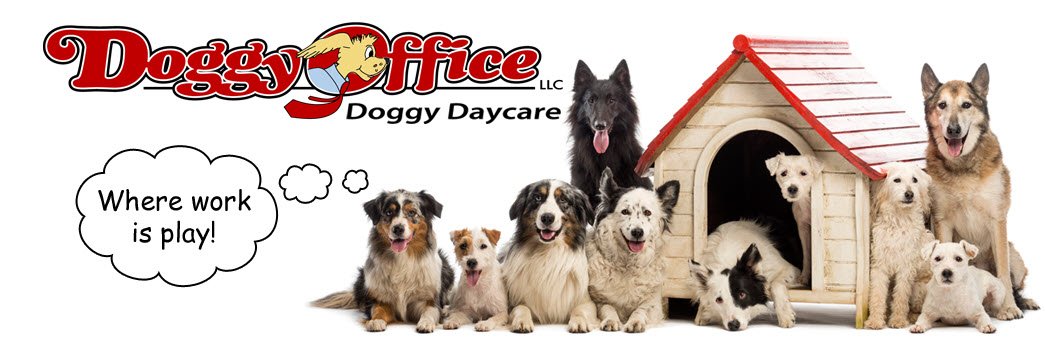 Doggy Office LLC - Photo 2