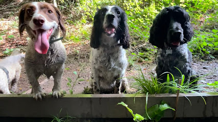 Tinas Tails and Trails Dog boarder