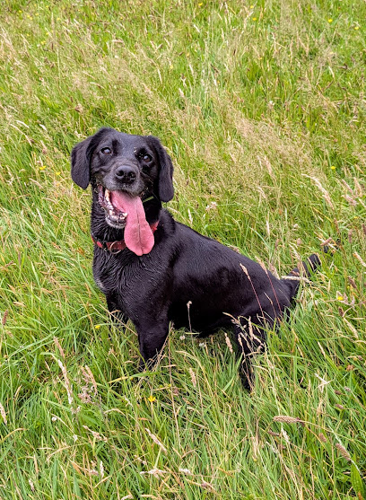 Pip's Adventure Walks