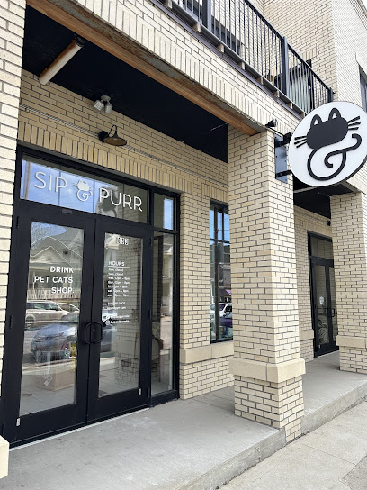 Sip & Purr Cat Café