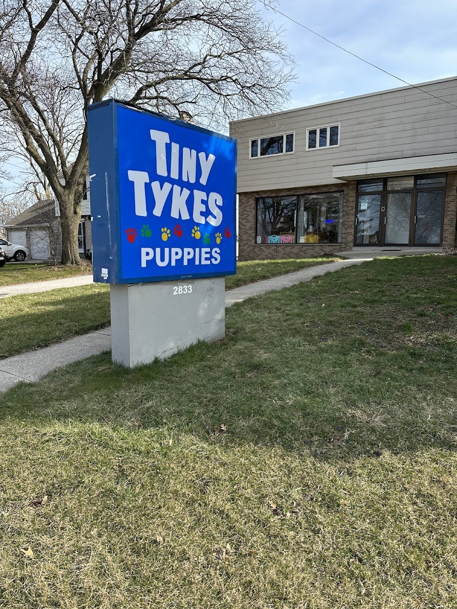 Tiny Tykes Puppies - Photo 2