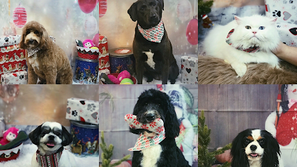 Wizard of Pawz Pet Spa