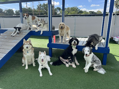 Happy Paws Grooming & Daycare