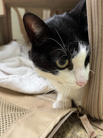 Animal Care Hospital (Clinic)