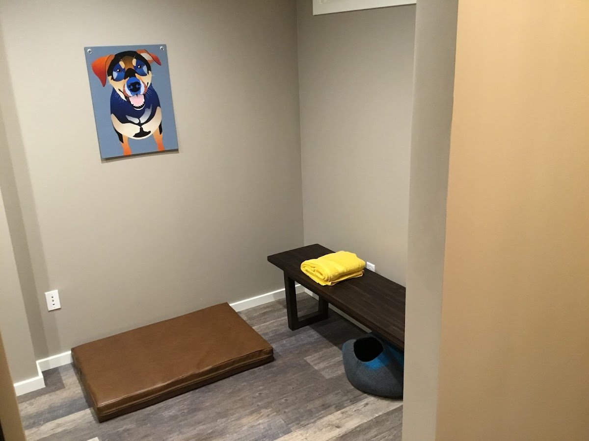 Thrive Wholistic Veterinary Care - Photo 2