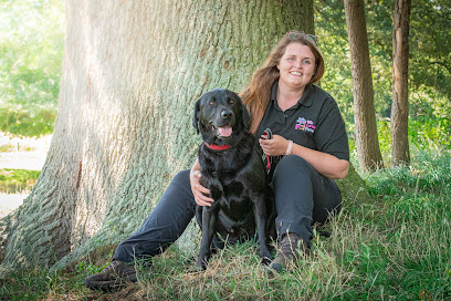 We Love Pets Bridgend - Dog Walker, Pet Sitter & Home Boarder