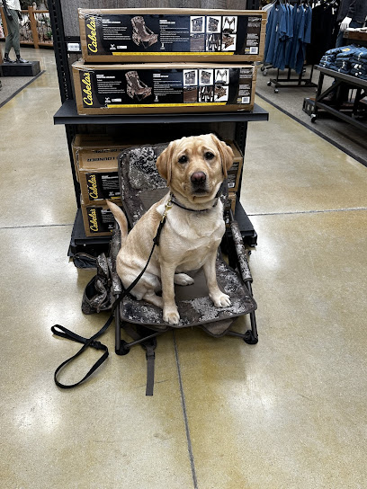 Steppinstone Dog Training