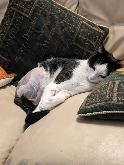 Swansea PDSA Pet Hospital