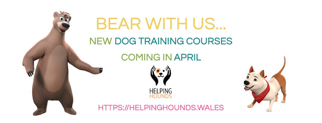 Helping Hounds Wales