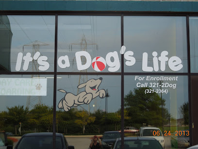 It's a Dog's Life LLC - Pet Shop in Milwaukee
