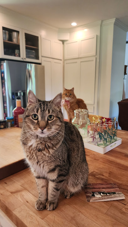 Riverwest Veterinary Clinic