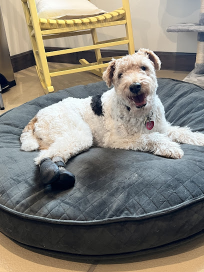 North Shore Pet Connection