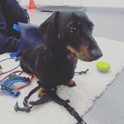 The Retreat Canine Hydrotherapy & Rehabilitation Centre