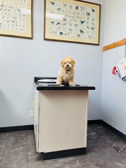 Milwaukee Animal Hospital - Pet Shop in Milwaukee