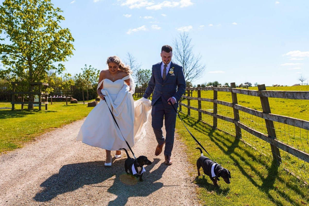 Four Paws and a Wedding - Photo 2