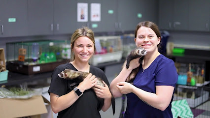 Milwaukee Career College - Pet Shop in Milwaukee