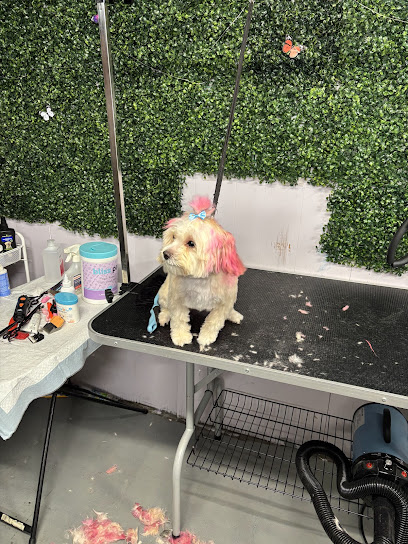 Angel Touch Doggy Salon