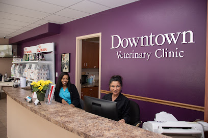 Downtown Veterinary Clinic