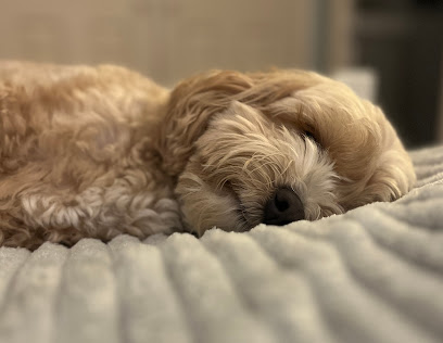 Hunsbury Dog Services