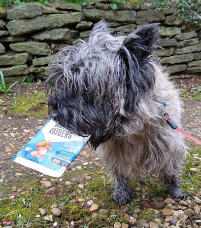 Walkies - Dog Walking Service