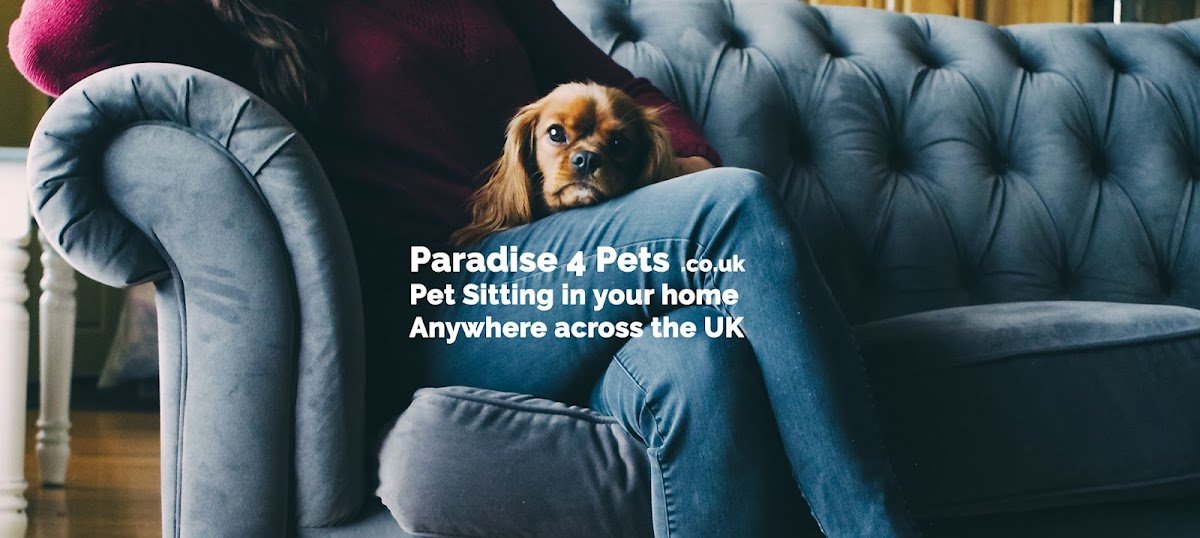 Paradise4Pets.co.uk - Photo 5