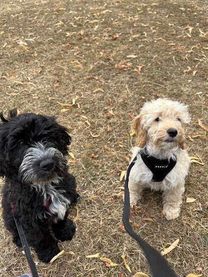 We Love Pets Milton Keynes - Dog Walker, Pet Sitter & Home Boarder