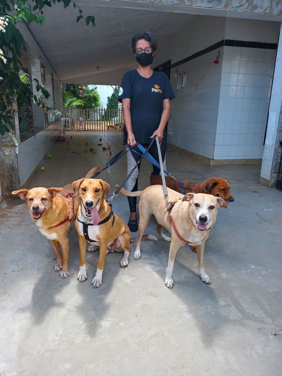 Four Paws Pet Shop - Pet Shop em Natal