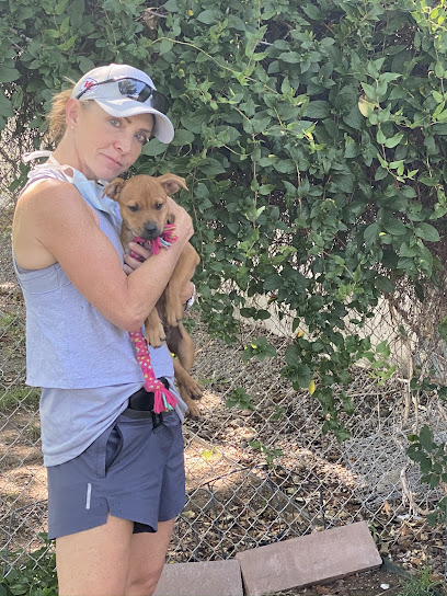 Academy Kennels Boarding & Grooming Salon