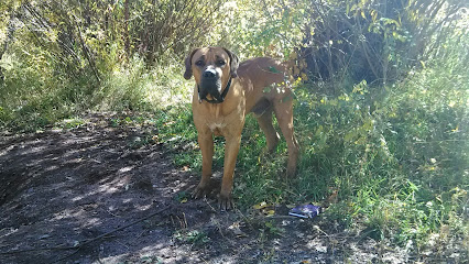 Lasting Paws Pet Memorial Services