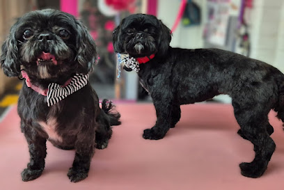 Matilda's Dog Grooming Ltd