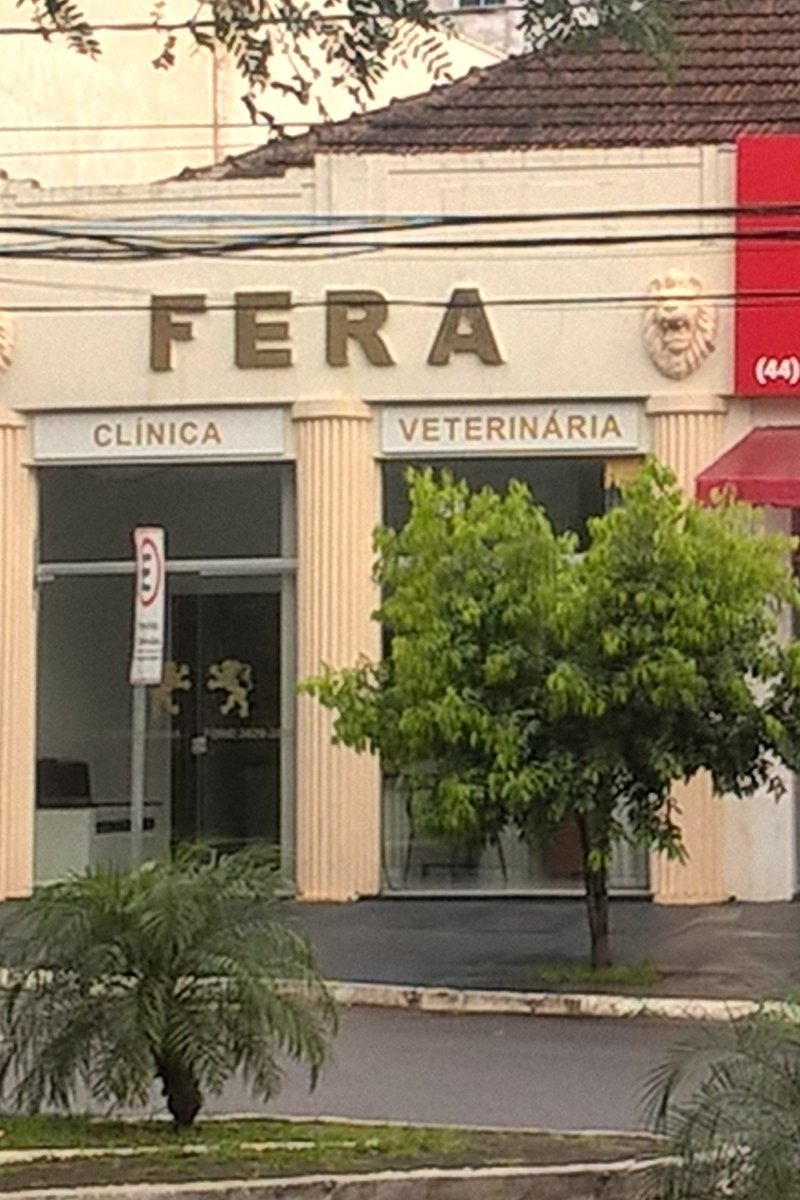 Clínica Veterinária Cianorte - Pet Shop em Cianorte