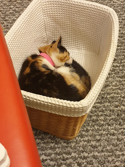 Vets for Pets - Portsmouth Solent