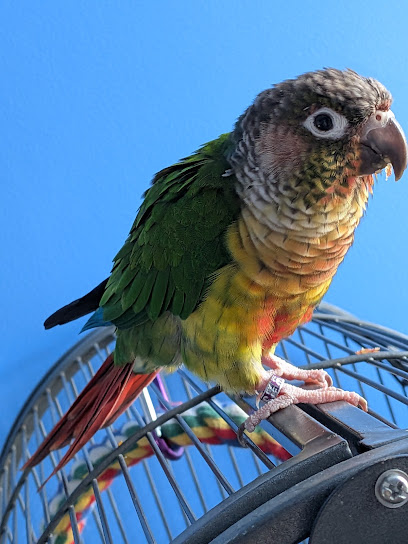 Daisy Pet Care - Pet Shop in Portsmouth