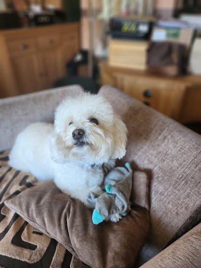 The Pawsome Hotel - Pet Shop in Portsmouth