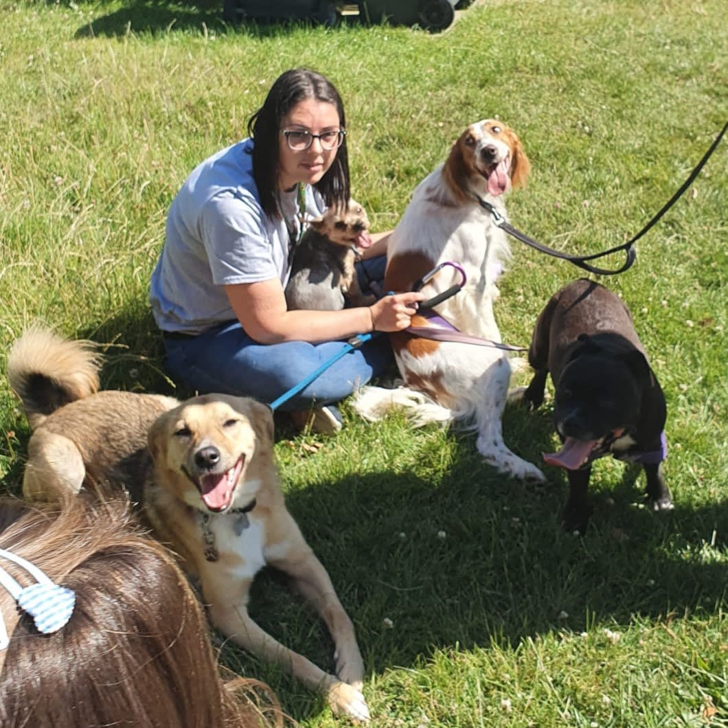 Fully Petted - Photo 2