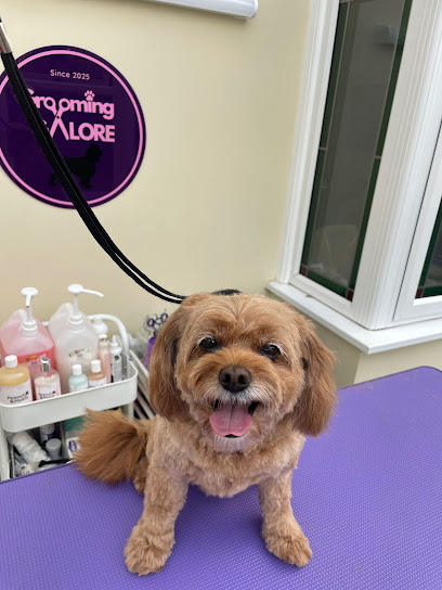 Grooming Galore - Dog Salon