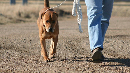 The Family Dog Training Svcs