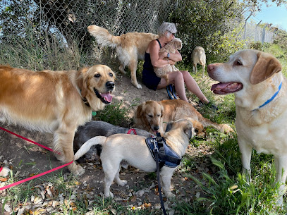 Auntie Julie's Pawsome Pets